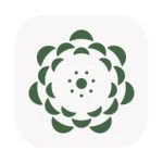 GPT4All - Run AI Chatbots Locally on Your Computer software icon