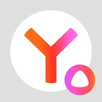 Yandex - Search Engine, Maps, Mail & Internet Services software icon